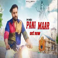 Pani Maar Ps Polist New Bhole Baba Dj Song 2022 By Ps Polist Poster